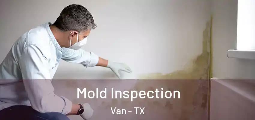  Mold Inspection Van - TX