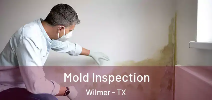 Mold Inspection Wilmer - TX