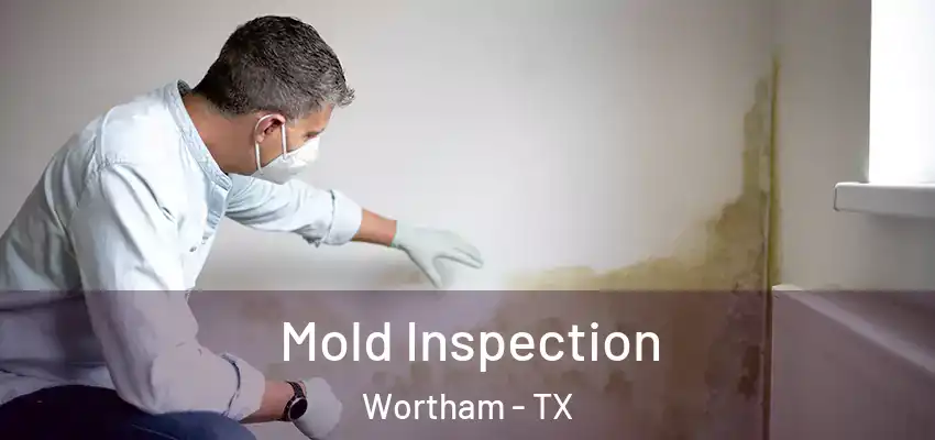  Mold Inspection Wortham - TX