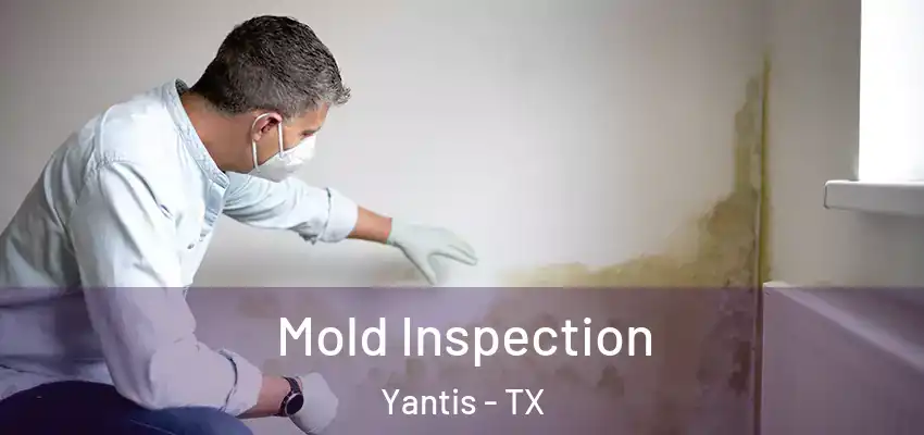 Mold Inspection Yantis - TX