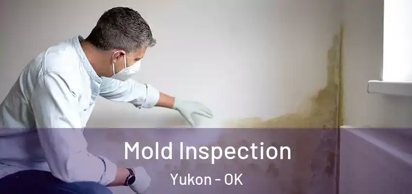 Mold Inspection Yukon - OK