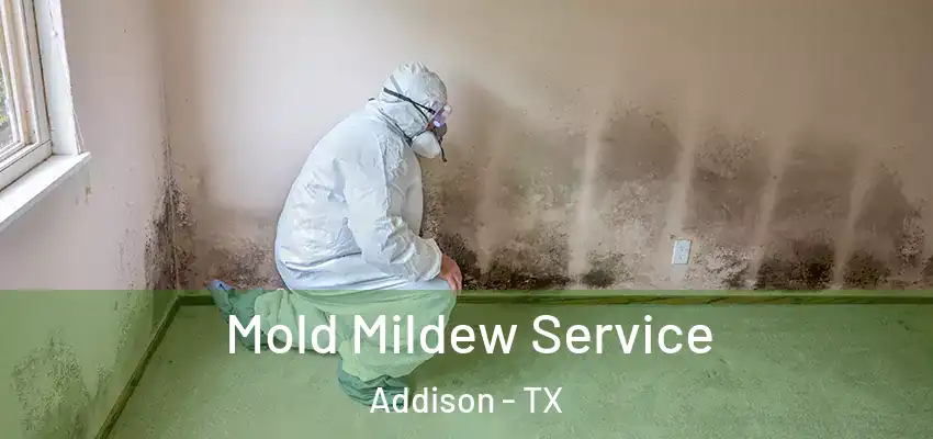  Mold Mildew Service Addison - TX