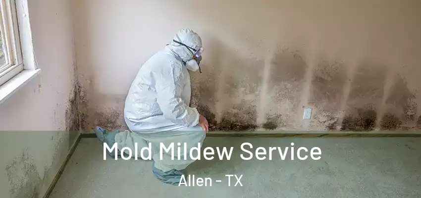  Mold Mildew Service Allen - TX