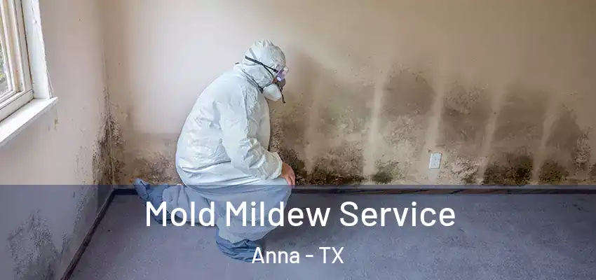  Mold Mildew Service Anna - TX