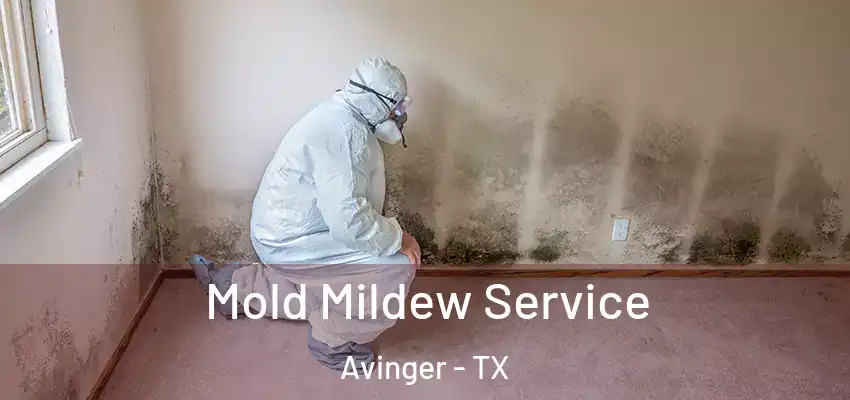 Mold Mildew Service Avinger - TX