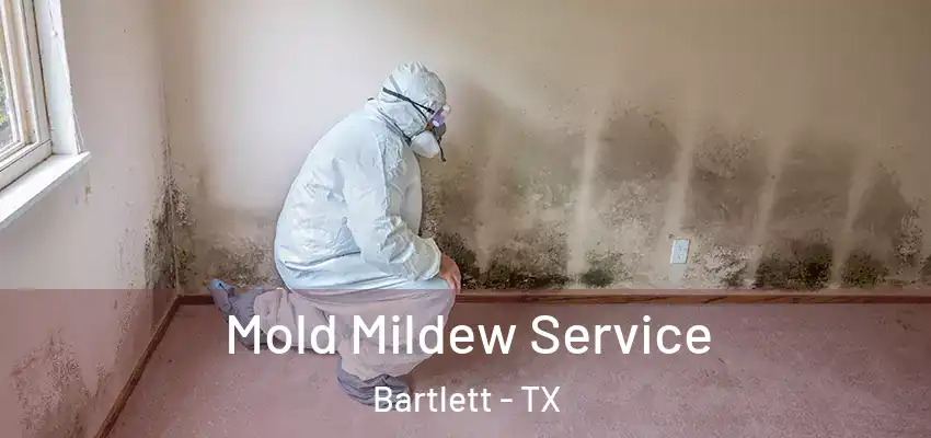 Mold Mildew Service Bartlett - TX