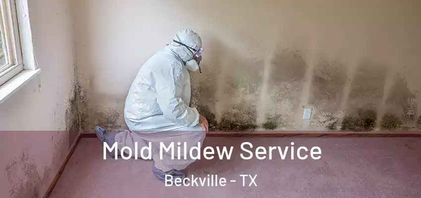 Mold Mildew Service Beckville - TX
