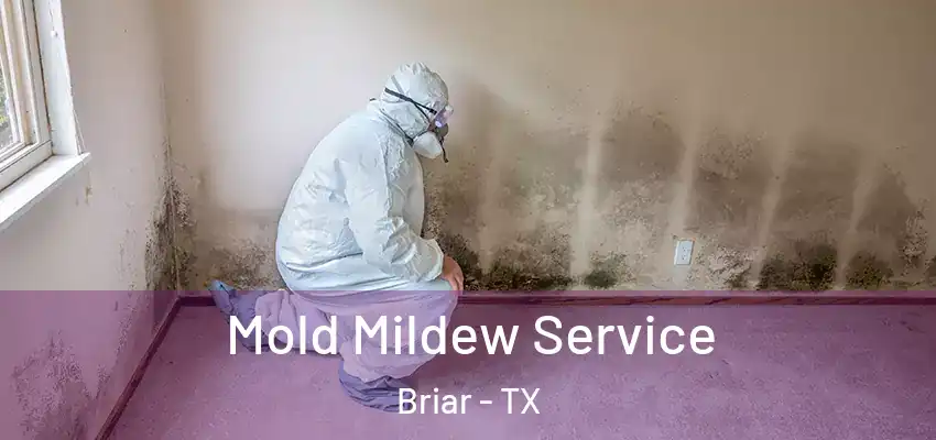  Mold Mildew Service Briar - TX