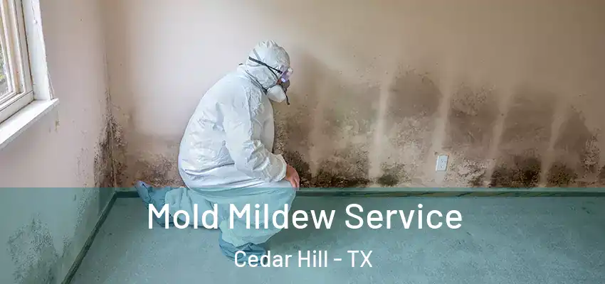  Mold Mildew Service Cedar Hill - TX