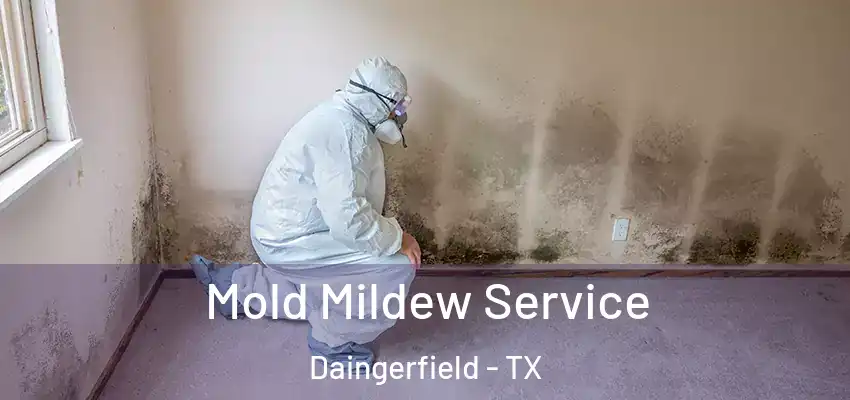 Mold Mildew Service Daingerfield - TX