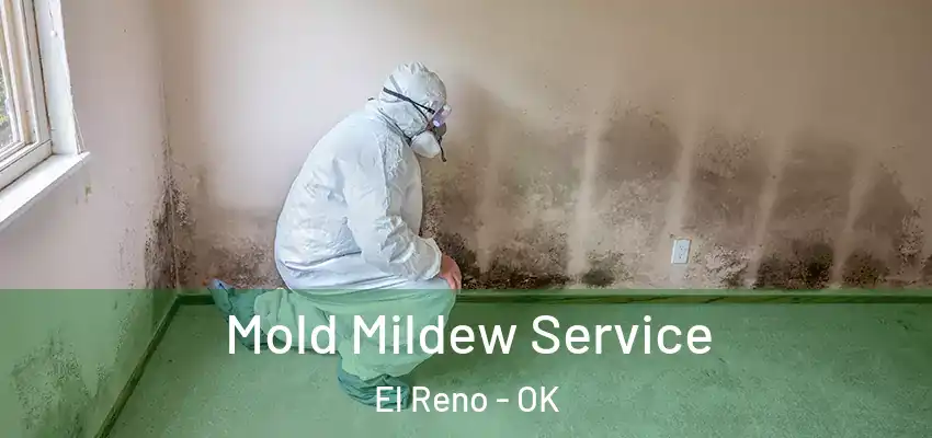  Mold Mildew Service El Reno - OK