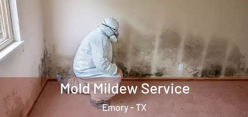  Mold Mildew Service Emory - TX