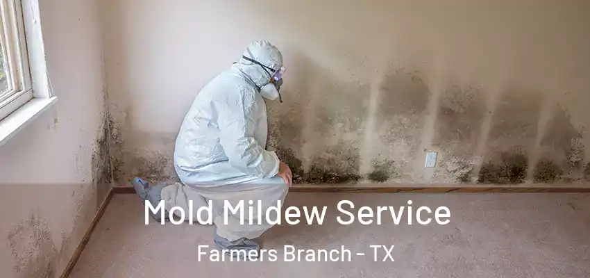 Mold Mildew Service Farmers Branch - TX