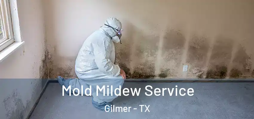  Mold Mildew Service Gilmer - TX