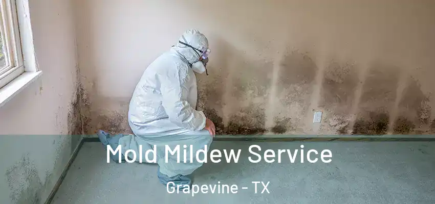  Mold Mildew Service Grapevine - TX
