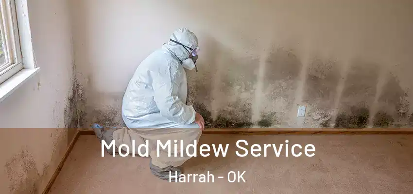 Mold Mildew Service Harrah - OK