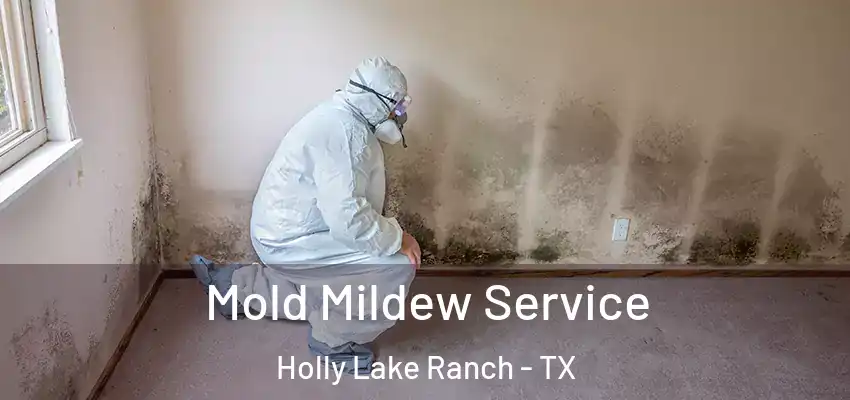  Mold Mildew Service Holly Lake Ranch - TX