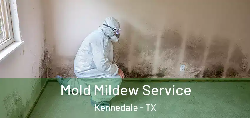  Mold Mildew Service Kennedale - TX