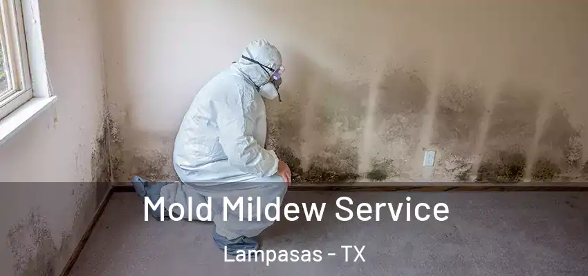  Mold Mildew Service Lampasas - TX