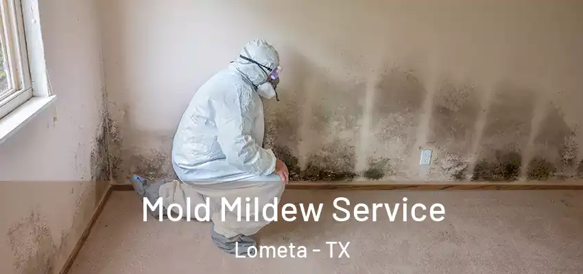 Mold Mildew Service Lometa - TX
