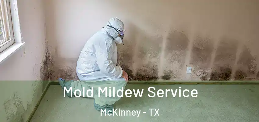  Mold Mildew Service McKinney - TX