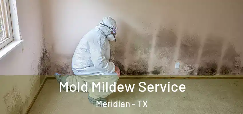  Mold Mildew Service Meridian - TX