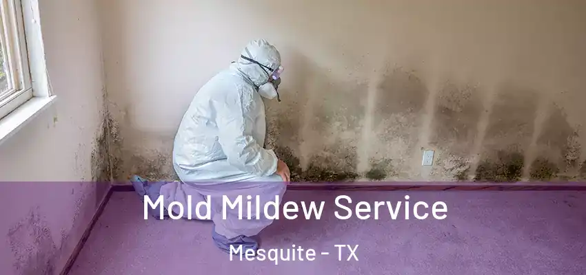  Mold Mildew Service Mesquite - TX