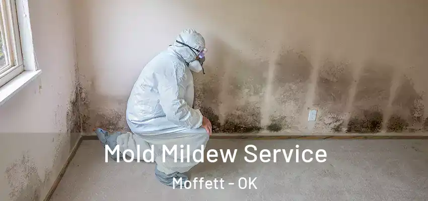 Mold Mildew Service Moffett - OK