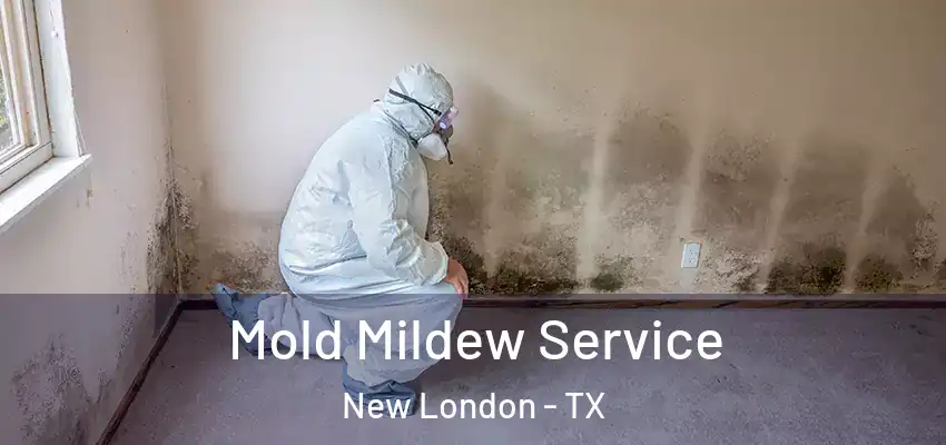  Mold Mildew Service New London - TX