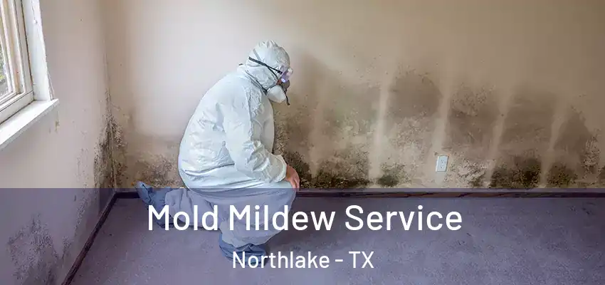  Mold Mildew Service Northlake - TX