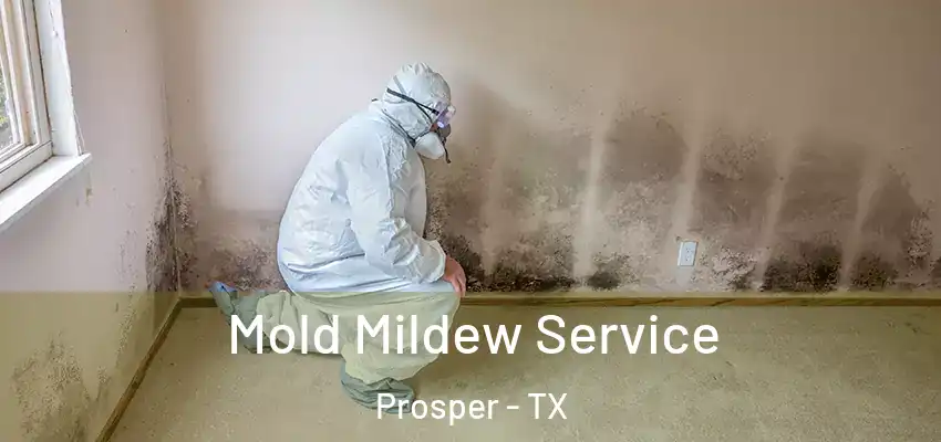 Mold Mildew Service Prosper - TX