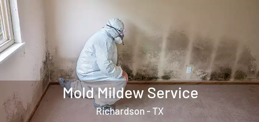 Mold Mildew Service Richardson - TX