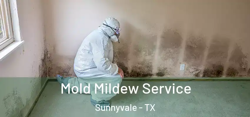  Mold Mildew Service Sunnyvale - TX
