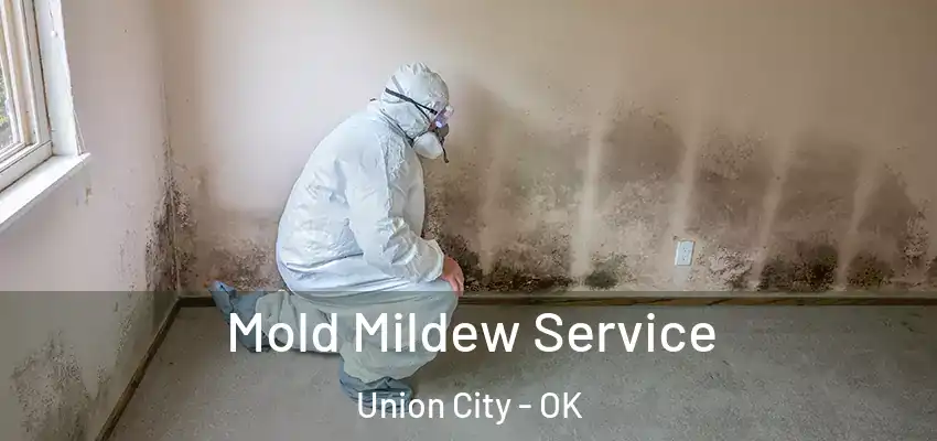  Mold Mildew Service Union City - OK
