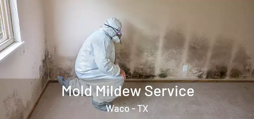  Mold Mildew Service Waco - TX