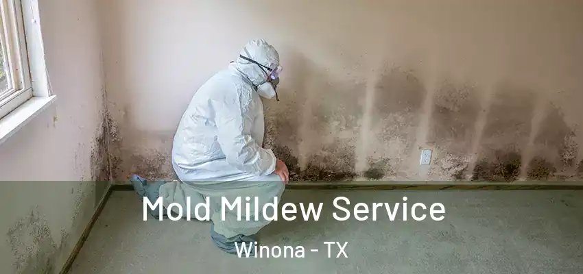  Mold Mildew Service Winona - TX