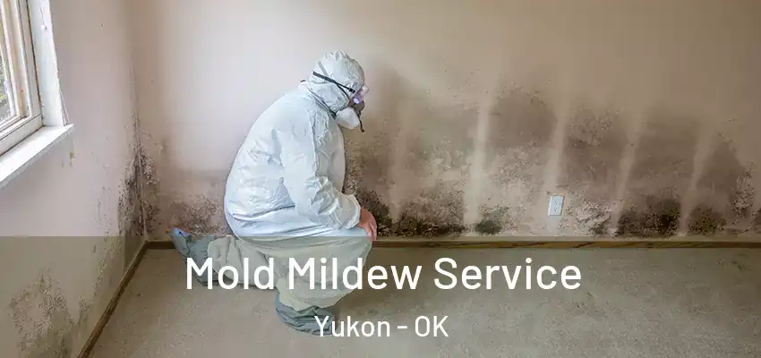 Mold Mildew Service Yukon - OK