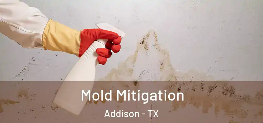 Mold Mitigation Addison - TX