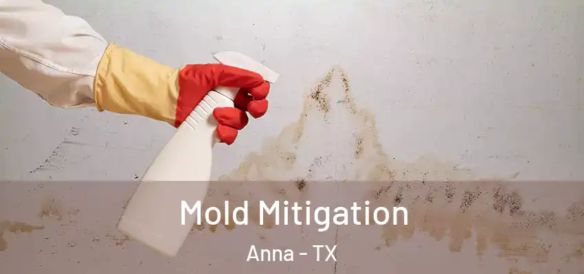  Mold Mitigation Anna - TX