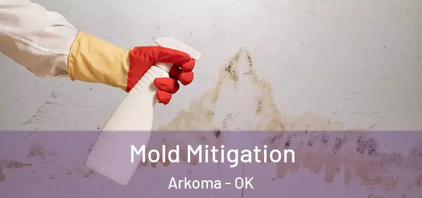 Mold Mitigation Arkoma - OK