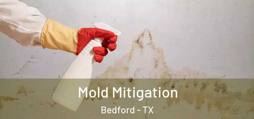  Mold Mitigation Bedford - TX