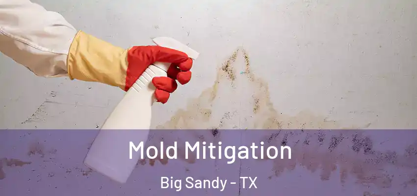 Mold Mitigation Big Sandy - TX
