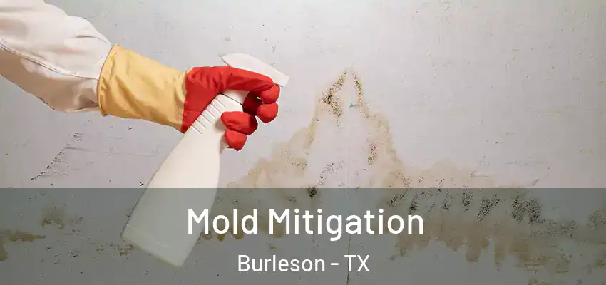  Mold Mitigation Burleson - TX