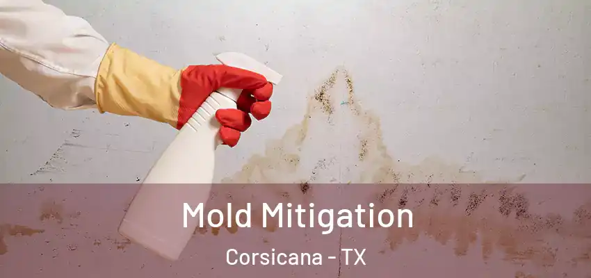 Mold Mitigation Corsicana - TX
