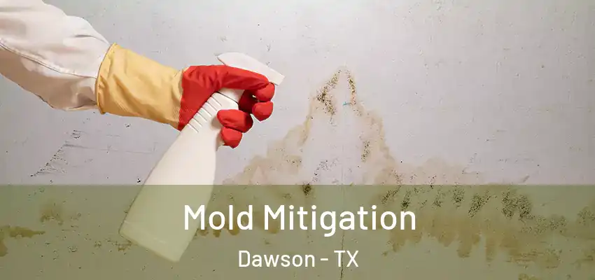 Mold Mitigation Dawson - TX