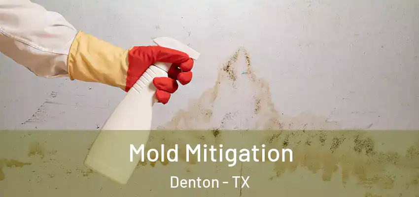  Mold Mitigation Denton - TX