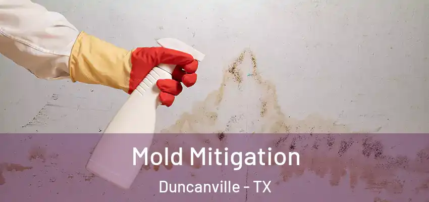 Mold Mitigation Duncanville - TX