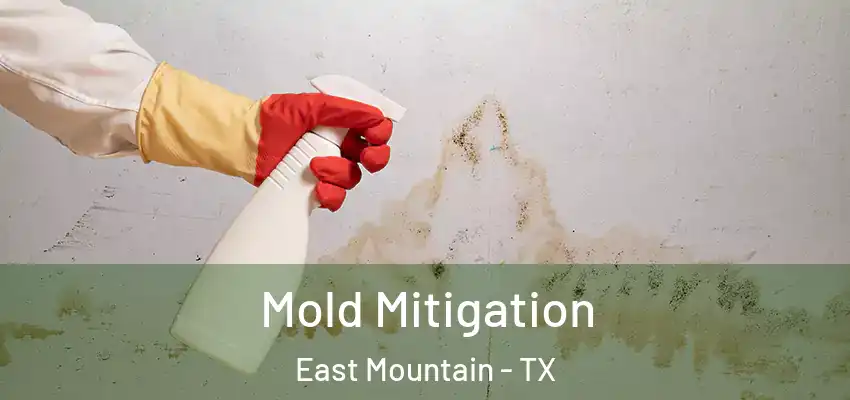 Mold Mitigation East Mountain - TX