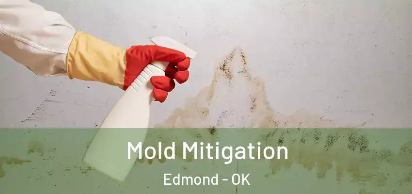  Mold Mitigation Edmond - OK