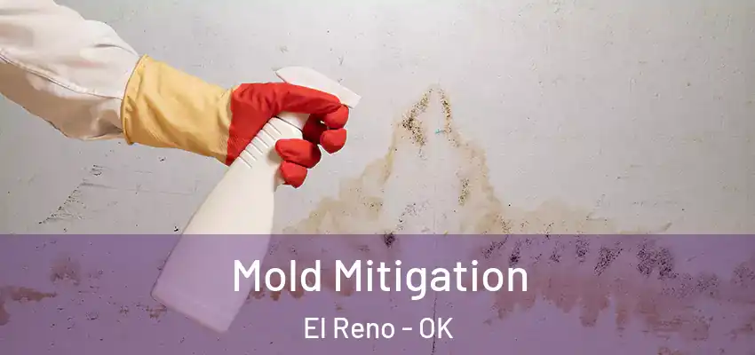 Mold Mitigation El Reno - OK